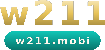 w211 logo